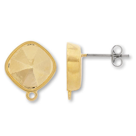 Earrings stainless steel with stone ring