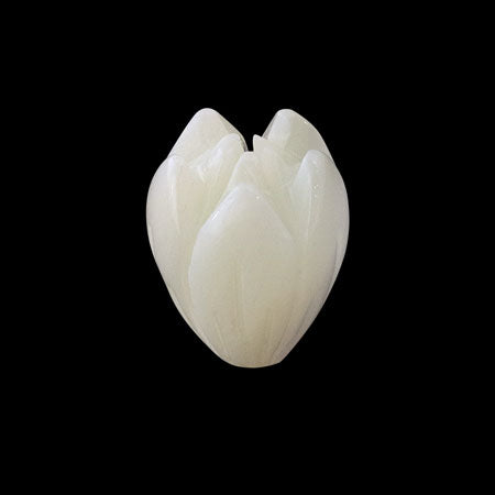 Shell parts jasmine white