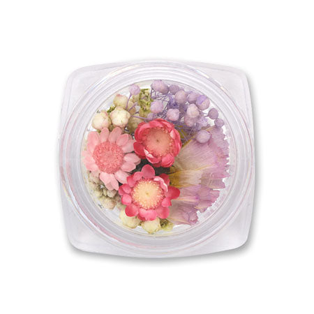 Dry Flower Pink