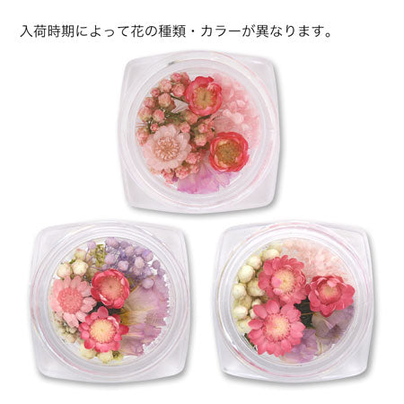 Dry Flower Pink