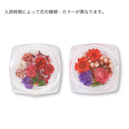 Dried flower red