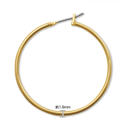 Earrings Titanium Hoop No.3 Rhodium Color
