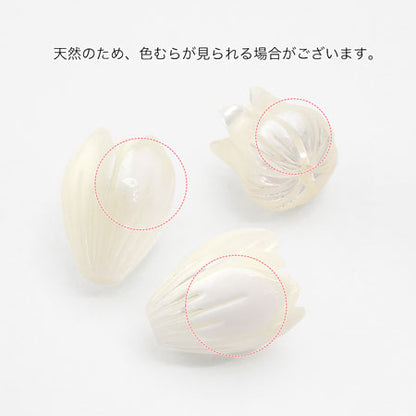 シェルパーツ すずらん　ホワイト