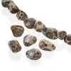 約6-13×5-8mm / 1本(約12cm)