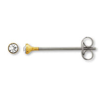Long post earrings with stone and catch