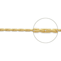 Chain 260PNR