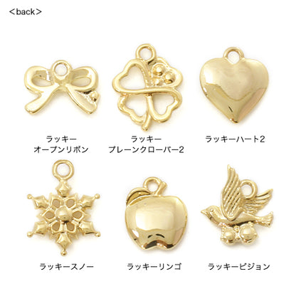 Charm Lucky Snow Crystal/G