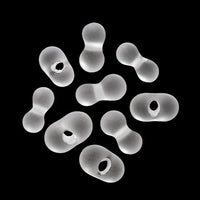 Cechoseseed Falfale: The Crystal Terterine Matte