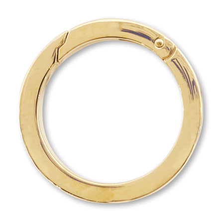 Karabiner gold key chain