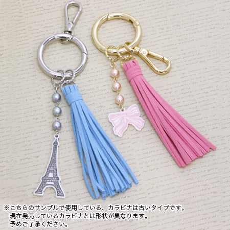 Karabiner gold key chain