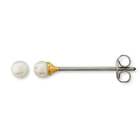 Long post earrings with pearls and catch
