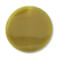 Acrylic German coin pistachio