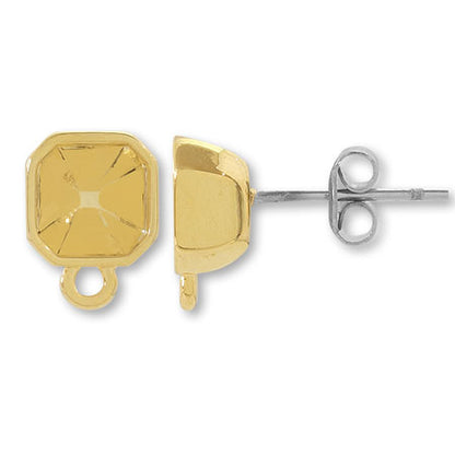 Earrings stainless steel with stone ring 