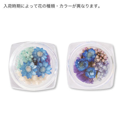 ドライフラワー　ブルー