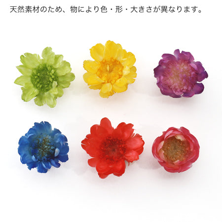 ドライフラワー　ブルー