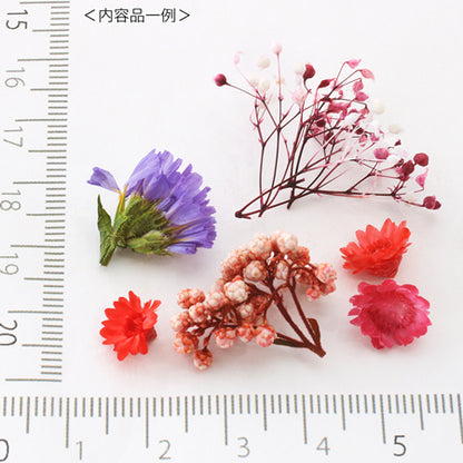 Drifflower Green