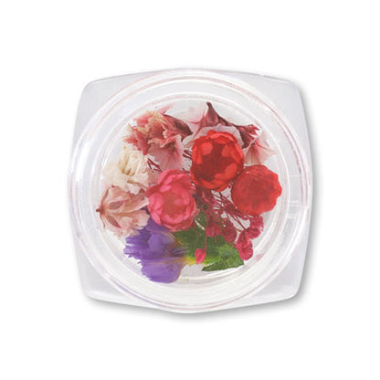 Dried flower red