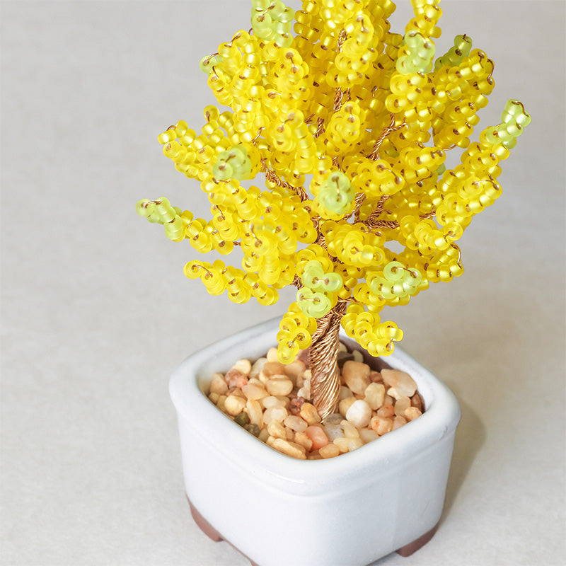Nejitte BONSAI Kit (HCA30-1~6)