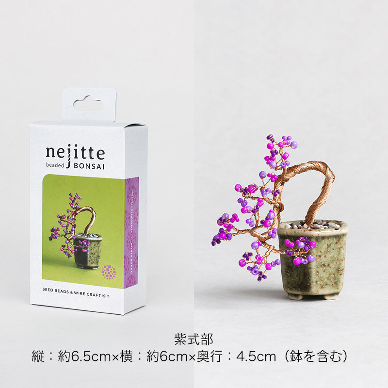 Nejitte BONSAI Kit (HCA30-7~12)